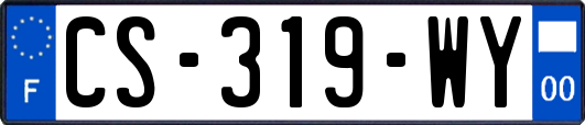 CS-319-WY