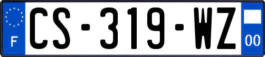 CS-319-WZ