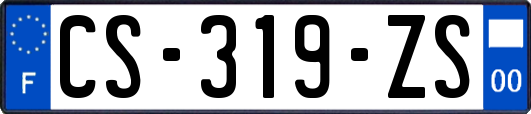 CS-319-ZS