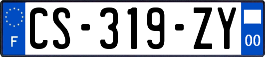 CS-319-ZY