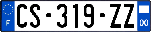 CS-319-ZZ