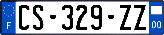 CS-329-ZZ