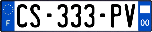 CS-333-PV