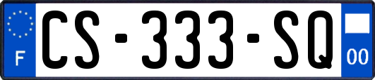 CS-333-SQ
