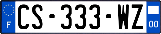 CS-333-WZ