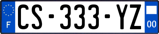 CS-333-YZ