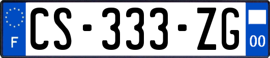 CS-333-ZG