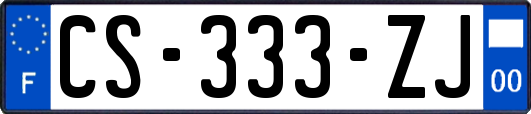 CS-333-ZJ