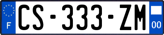 CS-333-ZM