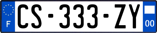 CS-333-ZY