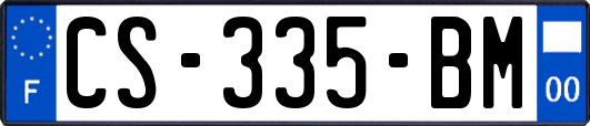 CS-335-BM