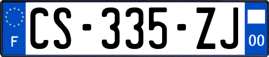 CS-335-ZJ