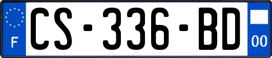 CS-336-BD