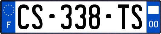 CS-338-TS