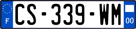 CS-339-WM