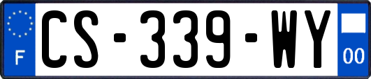 CS-339-WY