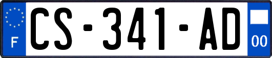 CS-341-AD