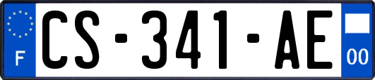 CS-341-AE