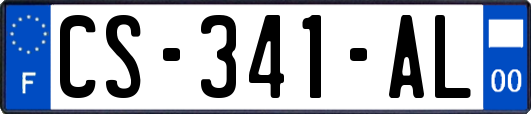 CS-341-AL