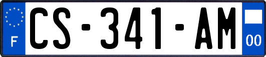 CS-341-AM