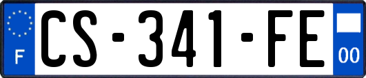 CS-341-FE