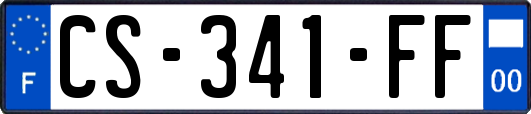 CS-341-FF
