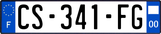 CS-341-FG