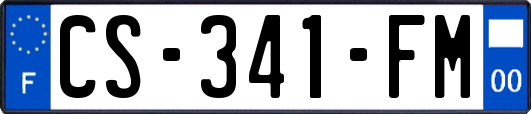 CS-341-FM