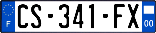 CS-341-FX