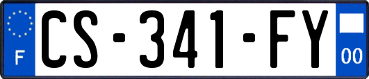 CS-341-FY