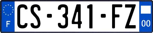 CS-341-FZ