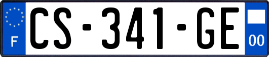 CS-341-GE
