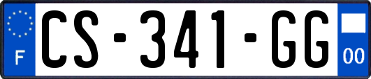 CS-341-GG