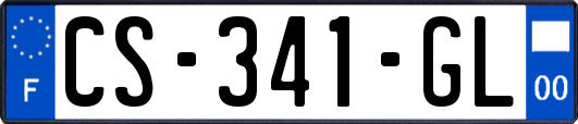 CS-341-GL