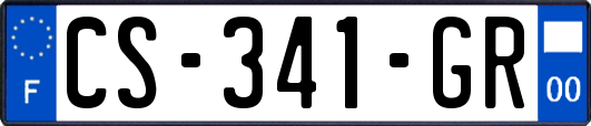 CS-341-GR
