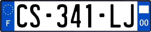 CS-341-LJ