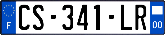 CS-341-LR