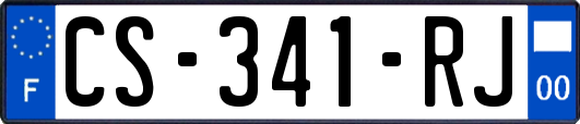 CS-341-RJ