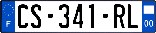 CS-341-RL