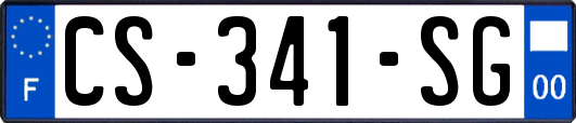 CS-341-SG