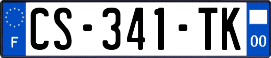 CS-341-TK