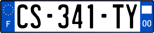 CS-341-TY