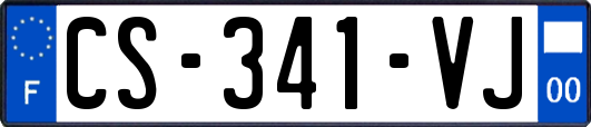 CS-341-VJ