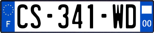 CS-341-WD