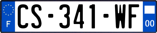 CS-341-WF