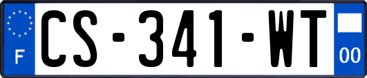 CS-341-WT
