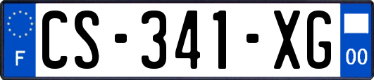 CS-341-XG