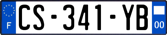 CS-341-YB