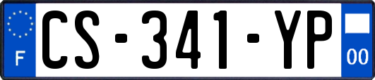 CS-341-YP