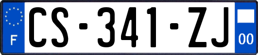 CS-341-ZJ